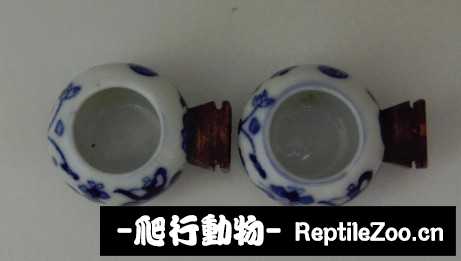 170445yqo5nxjo8qnixexn.jpg
