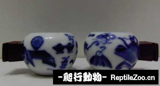 170446f8rjxyzbnhtn8tpt.jpg