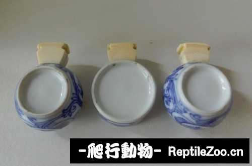 170452o72z2w2wsa6fr0vc.jpg