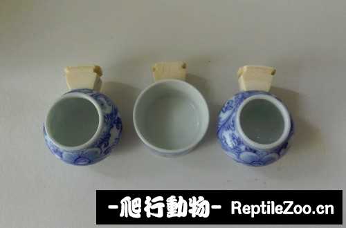 170452qzcy4t4pq3huco8c.jpg
