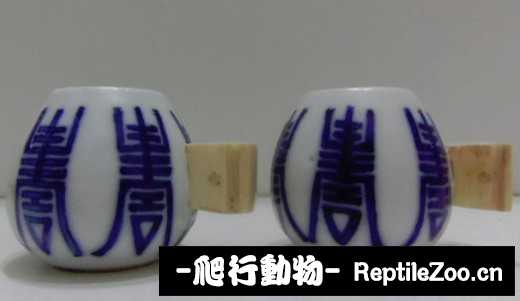 170458w0maqc61dtx0m35v.jpg