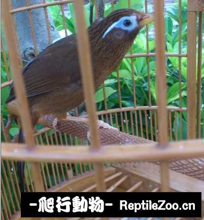 170544jftuduupcwpwf6zo.jpg