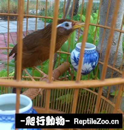 170545fgcw3w2hgxyysywj.jpg