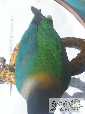 181053no18qleqygpz8s8y.jpg