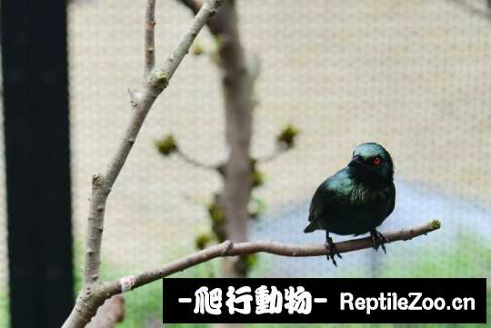 181103x6zgmufu6ffxpfvp.jpg