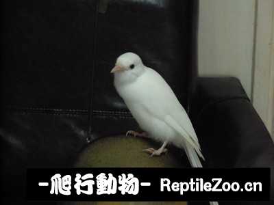 181142mz55v6dxdvs1amfj.jpg