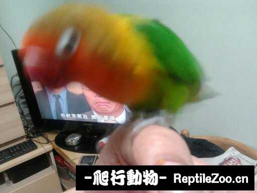 181338lwfv7vdcr7r4frsf.jpg