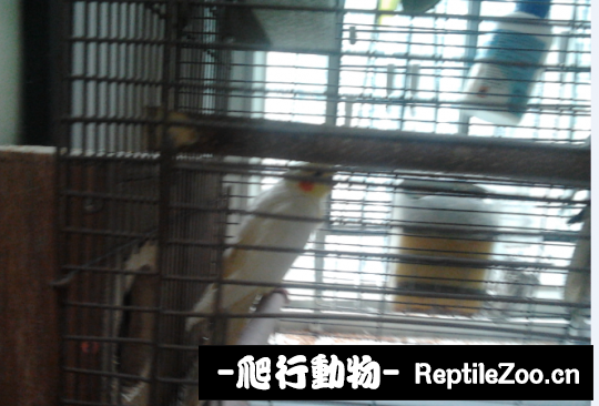 181519eb1qgazza1g12trb.png