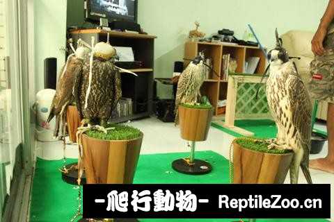 181730qtyea8783cjct6yd.jpg