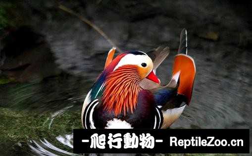 182503gds02ld2mwwbqjdt.jpg