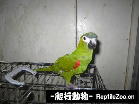 182531bkuu9cdkkq9p0cpu.jpg