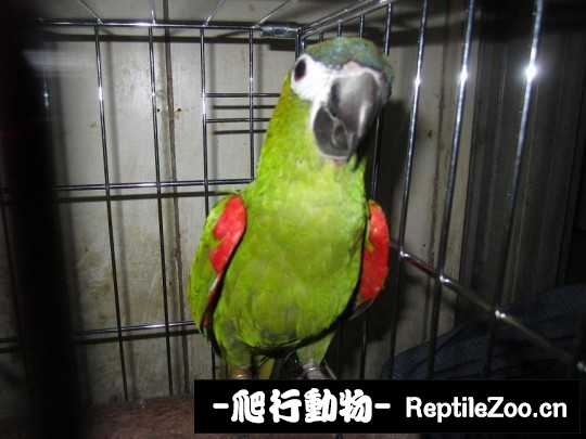 182531ie09g4nvgjevvt0v.jpg