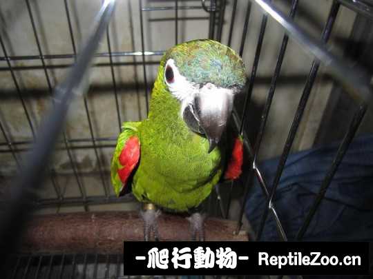 182531xw1twze8ok5e58re.jpg