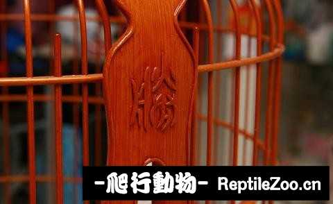 182545krlrppnpl942rpbp.jpg