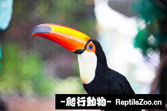 182559s4wjm2gwz2m46m0o.jpg