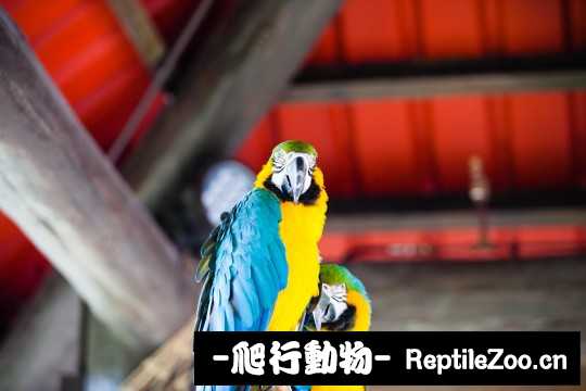 182600hkvpzh8wkppwn8sx.jpg