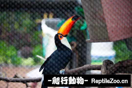 182600uati69j93a85a8m5.jpg