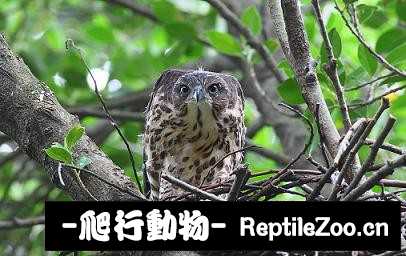 182610p2g54gbgqxn44hg2.jpg