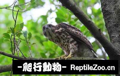 182610qmpae32rml2dv7pe.jpg