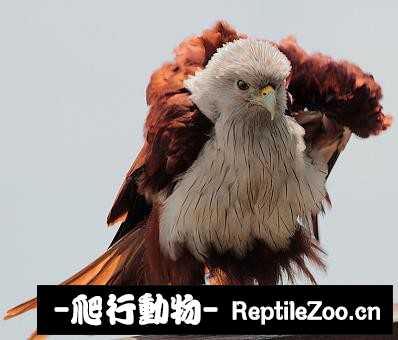 182622ldbddo8hzh8x9mxe.jpg