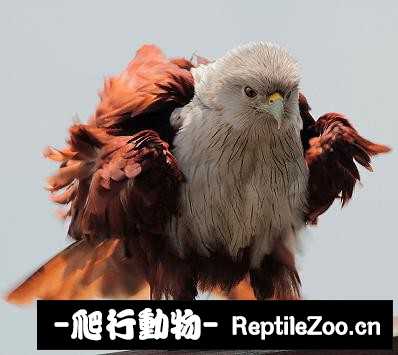 182623zbeb9bg50w4b4zz5.jpg