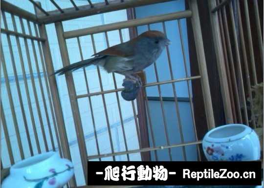 183512ou5tmjmzu3c6aq3j.jpg