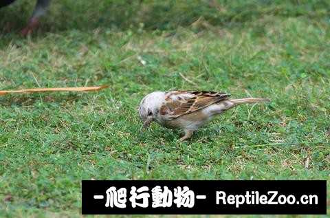 184847nzn3rgi3v32d3vnp.jpg