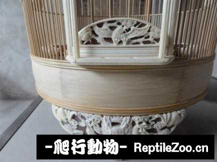 185657wnmimldr03ovoc9d.jpg