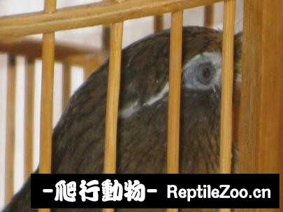 224937g34r3za9yc2y898n.jpg