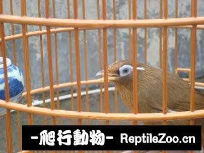 224937umwwgd2z0wwg6n04.jpg
