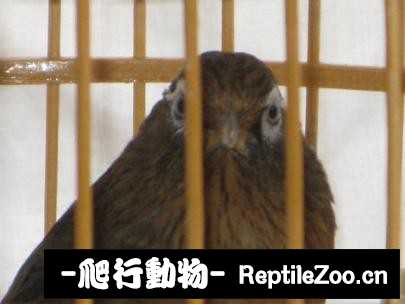 224938t3r3z9r842k2uswy.jpg
