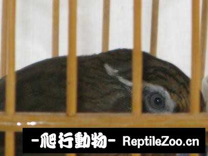 224940dad1g764p2bgbb07.jpg