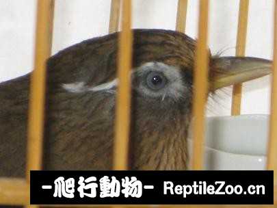 224940rdedz7zw2w25suuu.jpg