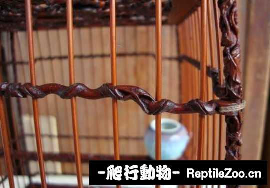 225047nge1vl0ohccz4lcc.jpg