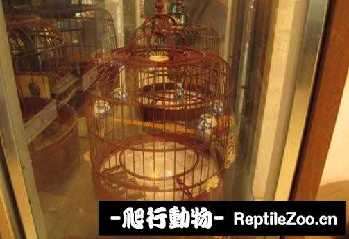 225051r2b3ahuqbfc70cuo.jpg