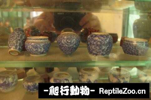 225055a71u2yiue29m9l7u.jpg