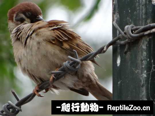 225122z0al5v0251mka95z.jpg