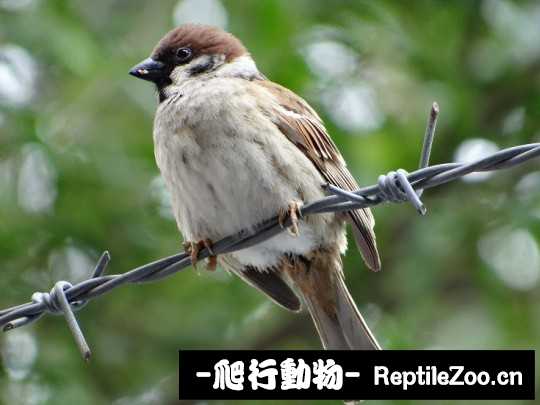 225126r1911di1g854d6r4.jpg