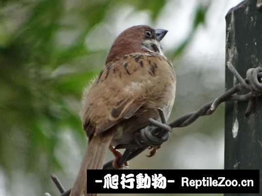 225126r1cawkgywkg6gk7y.jpg