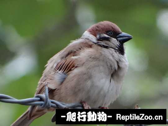 225127aqnqqqzo97qkzqf7.jpg