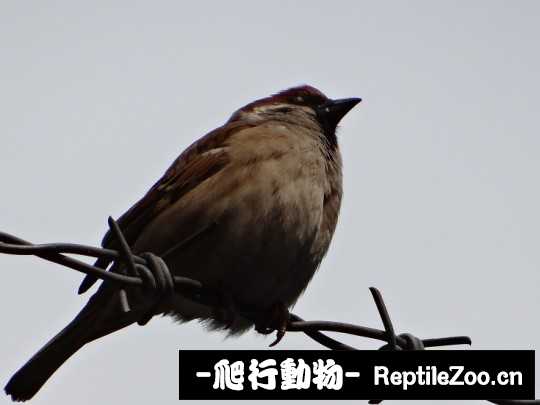 225127kpqtm4p5iibcmr42.jpg