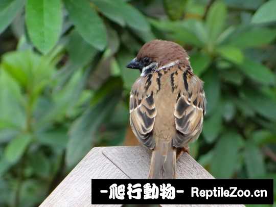 225128vh0m0dewzv8gdawh.jpg