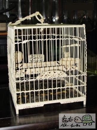 231253pukzbkggb17zgupq.jpg