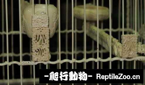231255xvmbzwkrkzw4bksr.jpg