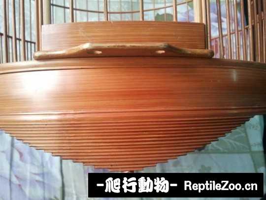 231258xcn0mm0m1n13nv09.jpg