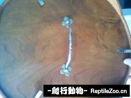 231259zj2l2yz42z2lll22.jpg