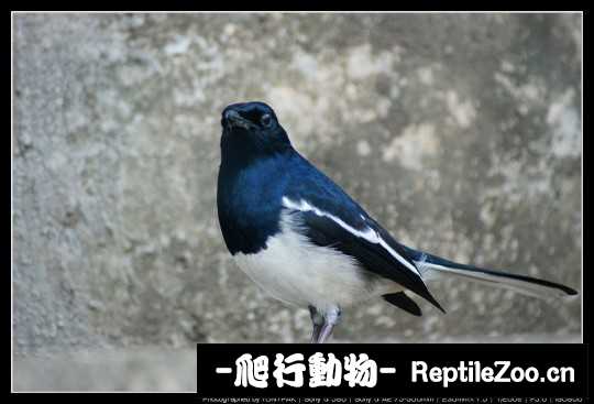 231304dwrbmrdwfwsdzzw4.jpg
