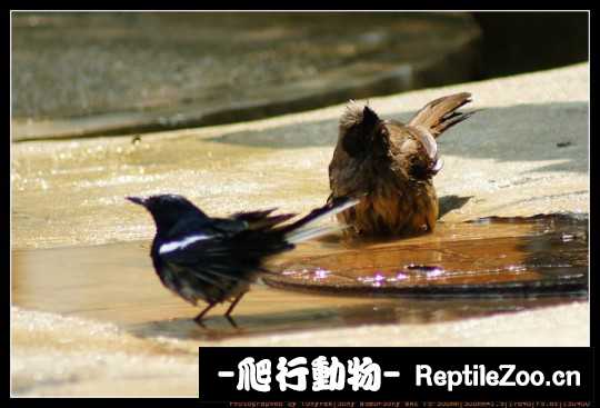 231306jp1ffzmtcj1n24jf.jpg