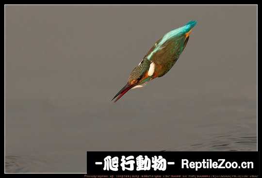 231310o5aadrpvr3vpep7e.jpg