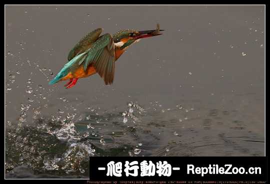 231311dusp97ffzfoz757o.jpg